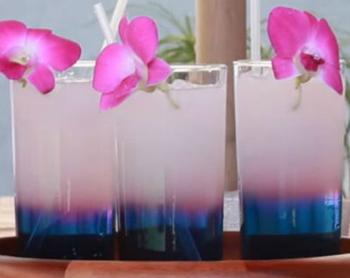 Công thức pha trà hoa đậu biếc đổi màu
